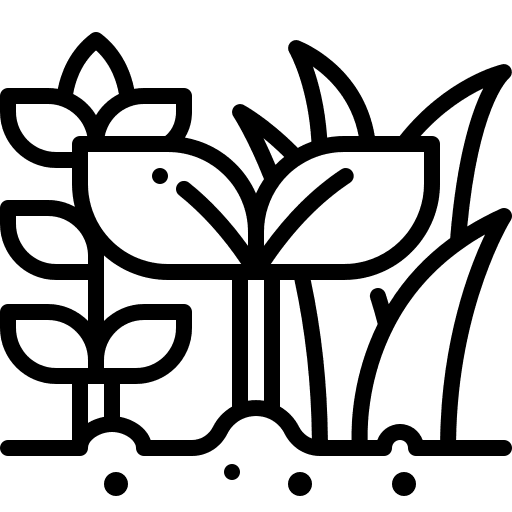 Service Icon