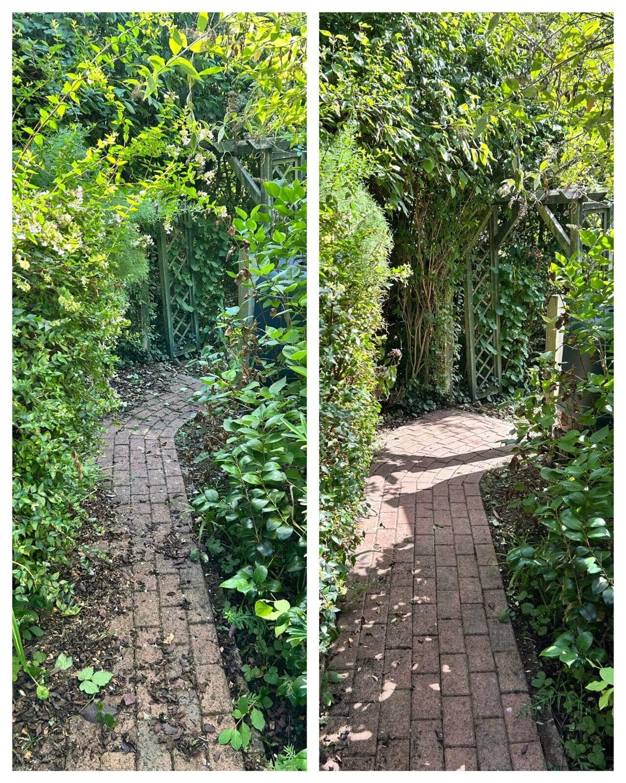 Brick path cleared through a garden archway