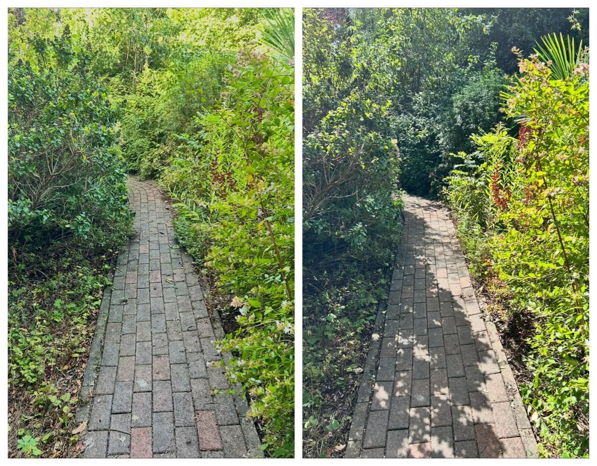 Borders trimmed back off a brick path
